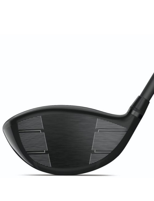Wilson Staff DynaPower Carbon Driver