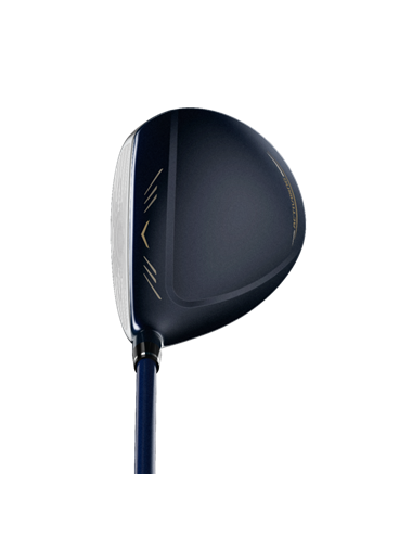 XXIO 12 Driver