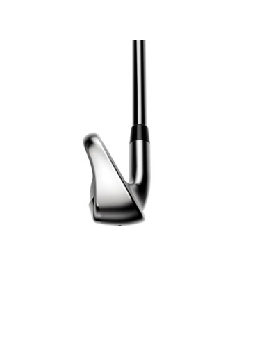 Cobra Air X Irons Grafito