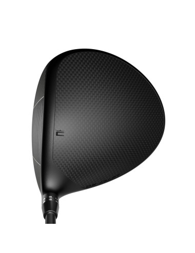 Cobra DS ADPT X Driver