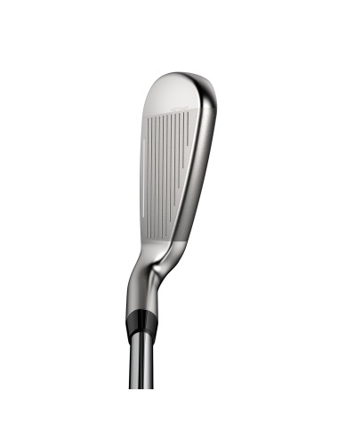 Hierros Cobra DS ADPT MAX 