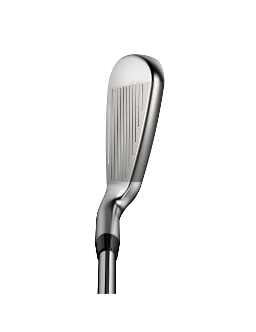 Hierros Cobra DS ADPT MAX 