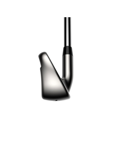 Cobra DS ADPT MAX Irons Grafito