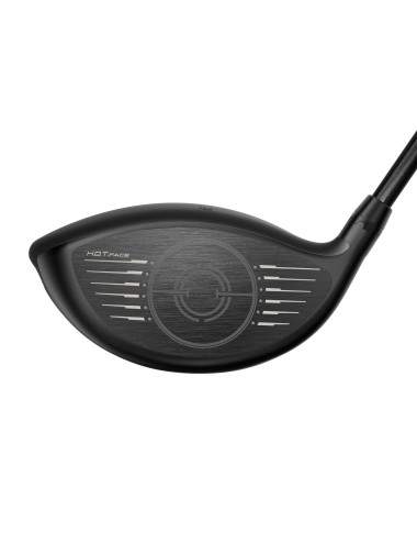 Cobra DARKSPEED LS Driver