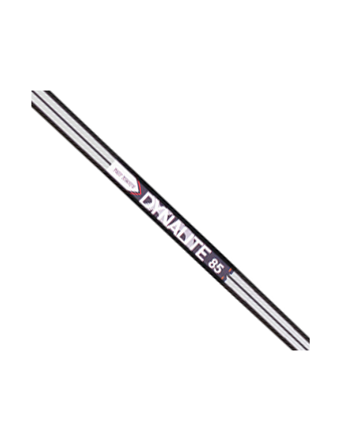 True Temper DYNALITE 100 R300 Tip:370