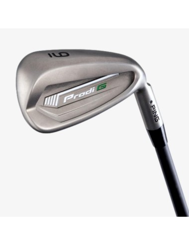 Ping Prodi G Irons