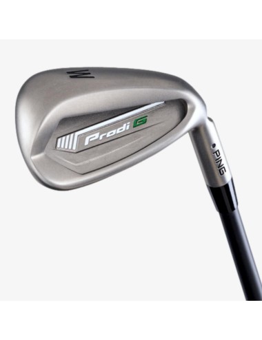 Ping Prodi G Irons