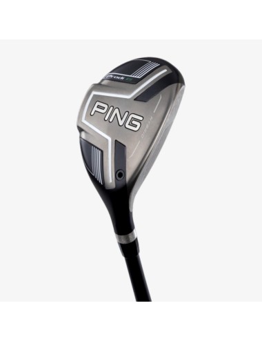 Ping Prodi G Hybrid