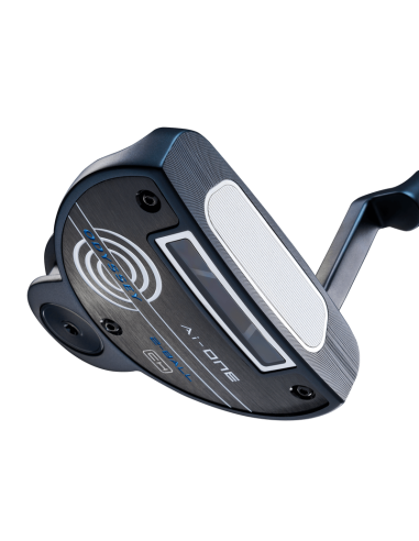 Odyssey AI ONE 2-Balls CH